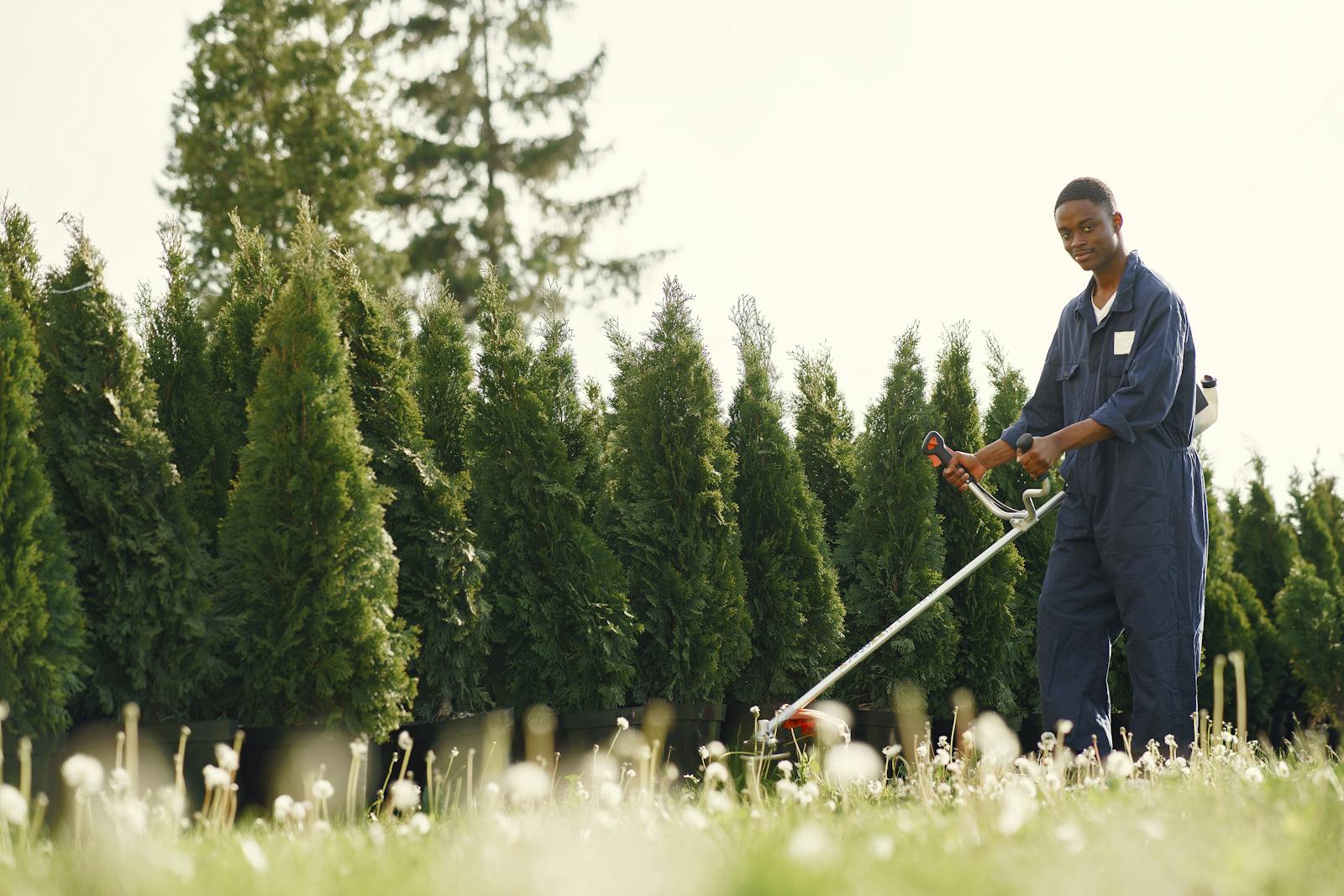 Landscapers at work